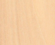 Aucune image 