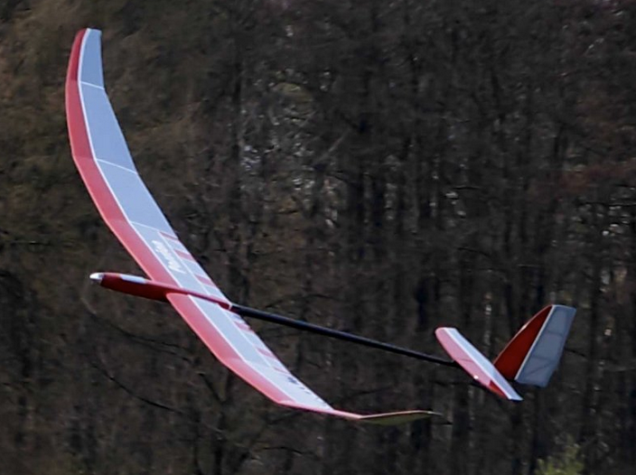 Planeur Passion 3000mm Pichler à construire Kits à construire