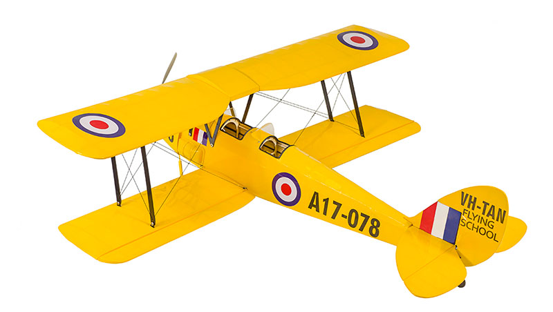 Tiger Moth 800mm ARF Voltige