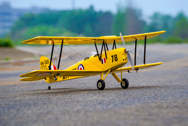 Tiger Moth 800mm ARF Voltige